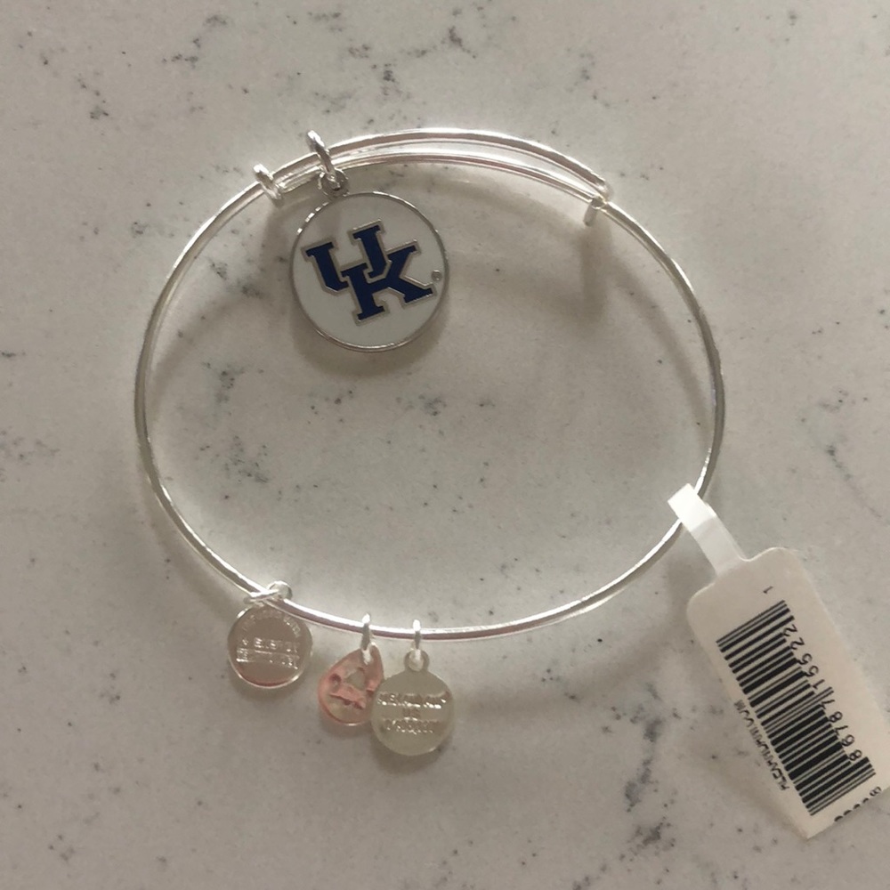 NWT Alex and Ani UK bangle
